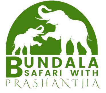 bundalasafariwithprasantha.com